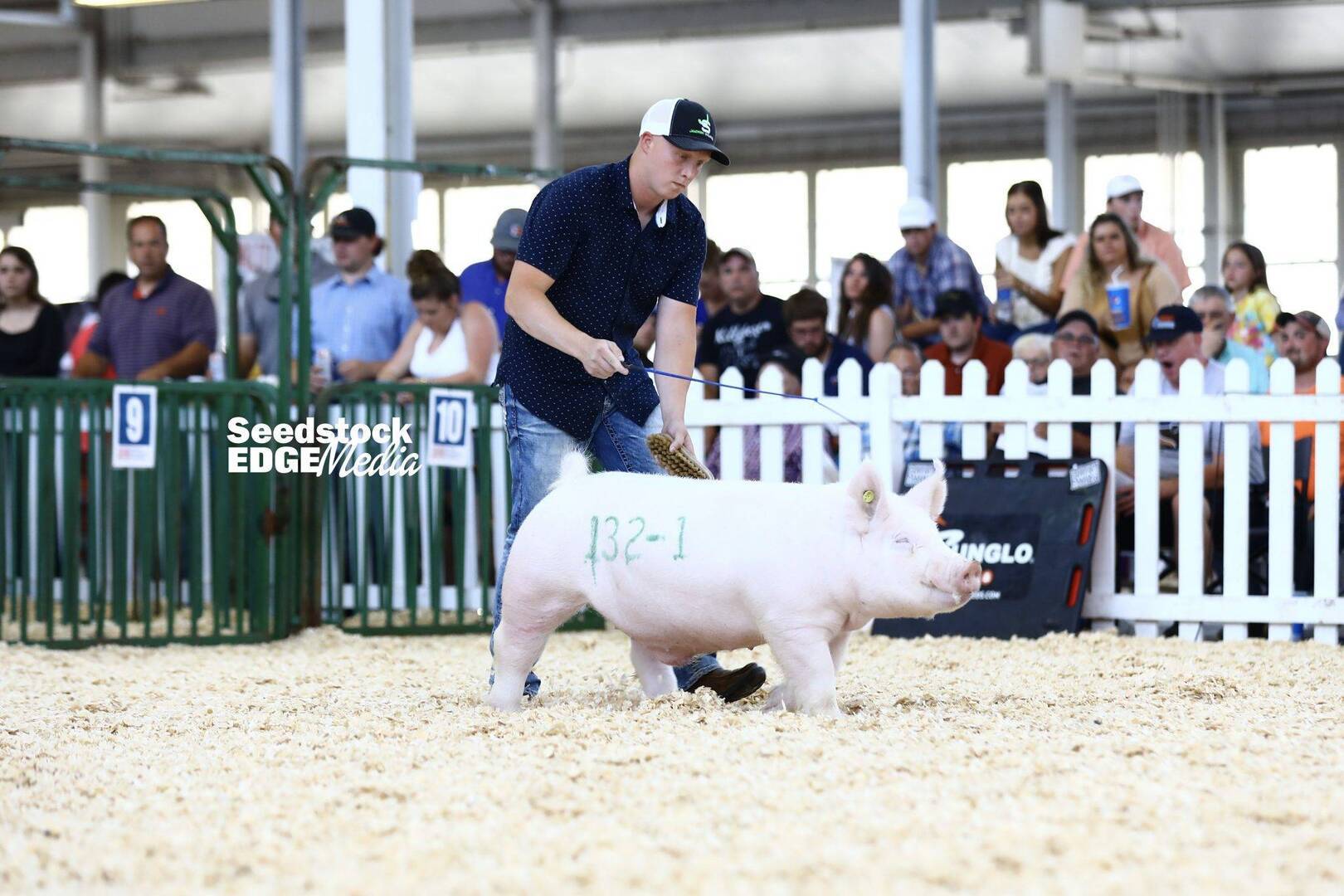 2021 The Exposition Open Yorkshire Show | National Swine Registry