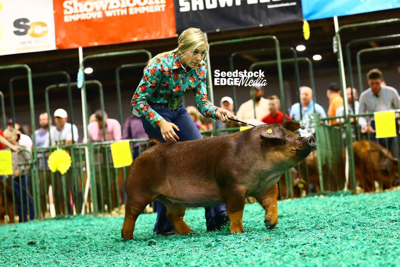 2021 NJSS Duroc Gilt Show | National Swine Registry